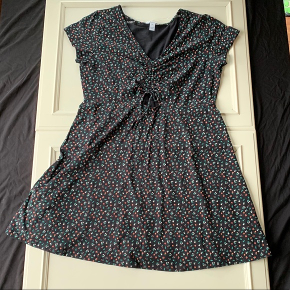 arizona jean co women's